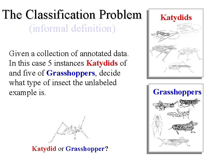 The Classification Problem Katydids (informal definition) Given a collection of annotated data. In this