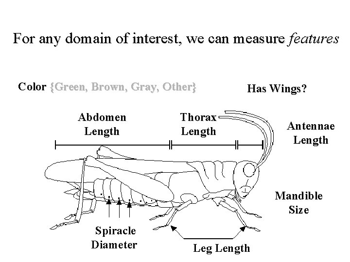 For any domain of interest, we can measure features Color {Green, Brown, Gray, Other}