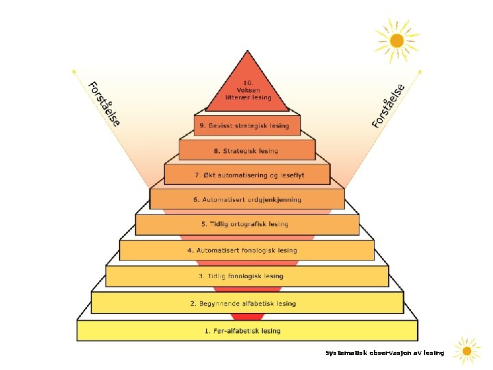 Systematisk observasjon av lesing Systematisk observasjon av lesing