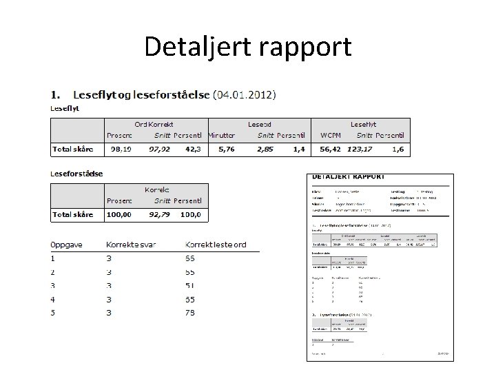 Detaljert rapport Detaljert rapport