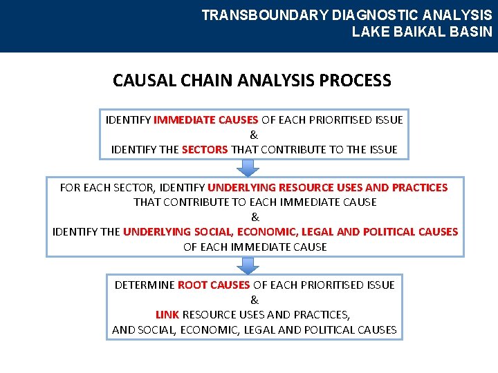 TRANSBOUNDARY DIAGNOSTIC ANALYSIS LAKE BAIKAL BASIN CAUSAL CHAIN ANALYSIS PROCESS IDENTIFY IMMEDIATE CAUSES OF