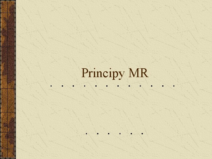 Principy MR Principy MR