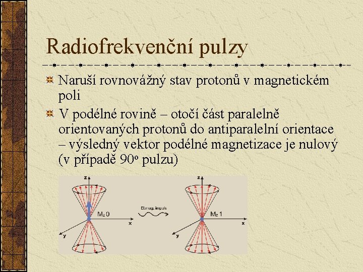 Radiofrekvenční pulzy Naruší rovnovážný stav protonů v magnetickém poli V podélné rovině – otočí Radiofrekvenční pulzy Naruší rovnovážný stav protonů v magnetickém poli V podélné rovině – otočí
