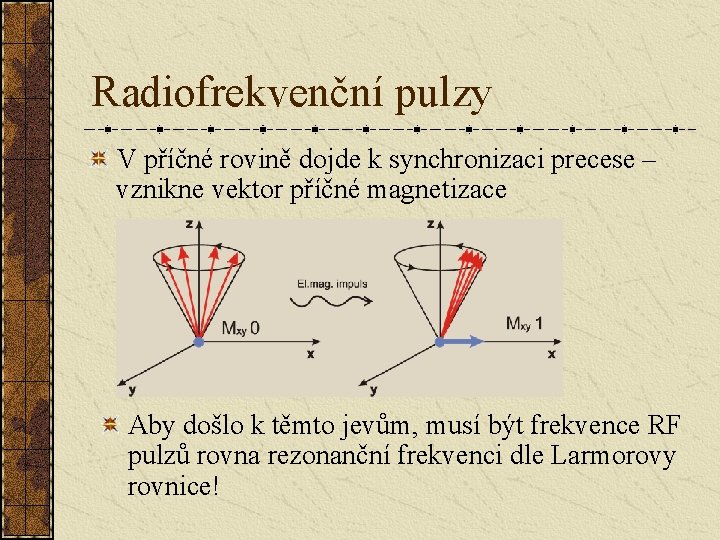Radiofrekvenční pulzy V příčné rovině dojde k synchronizaci precese – vznikne vektor příčné magnetizace Radiofrekvenční pulzy V příčné rovině dojde k synchronizaci precese – vznikne vektor příčné magnetizace