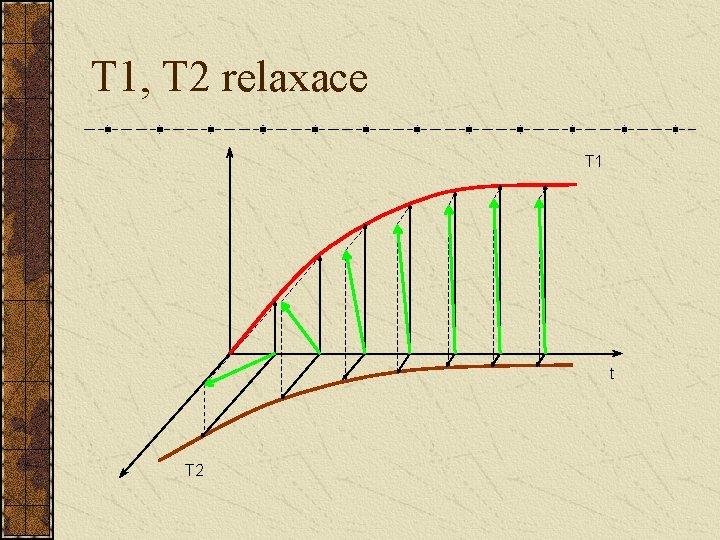 T 1, T 2 relaxace T 1 t T 2 T 1, T 2 relaxace T 1 t T 2