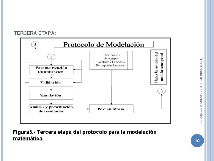 TERCERA ETAPA: El Protocolo de la Modelación Matemática Figura 5. - Tercera etapa del