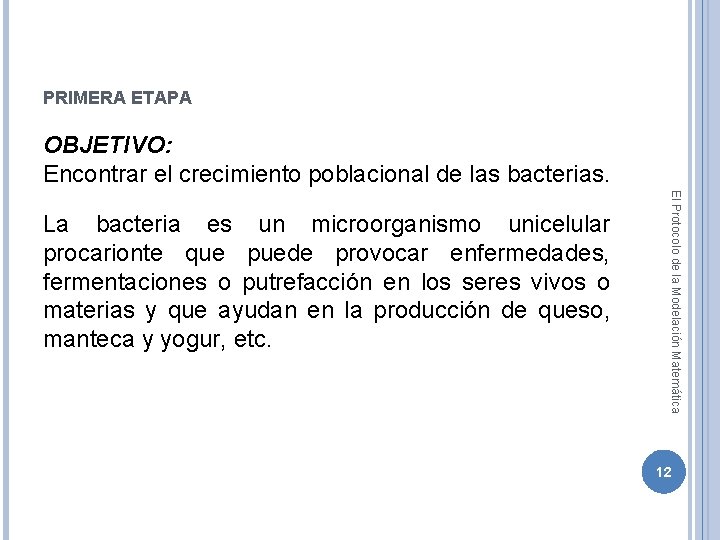 PRIMERA ETAPA OBJETIVO: Encontrar el crecimiento poblacional de las bacterias. El Protocolo de la