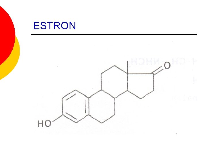 ESTRON ESTRON