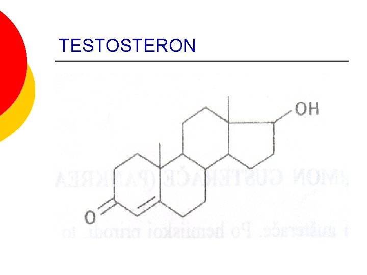 TESTOSTERON TESTOSTERON
