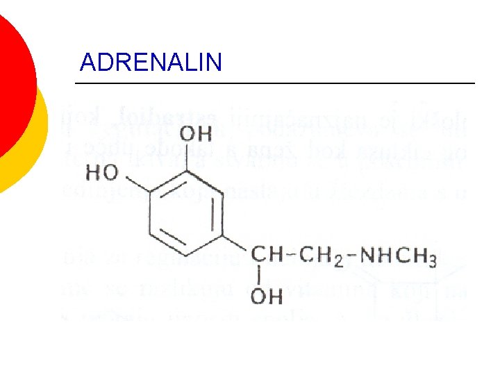 ADRENALIN ADRENALIN