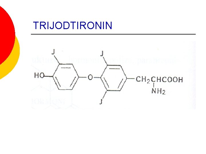 TRIJODTIRONIN TRIJODTIRONIN