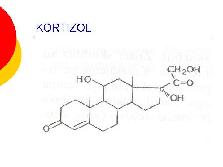 KORTIZOL KORTIZOL