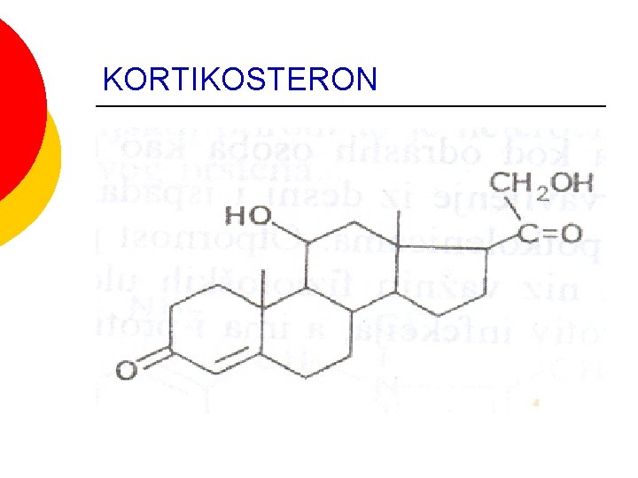 KORTIKOSTERON KORTIKOSTERON