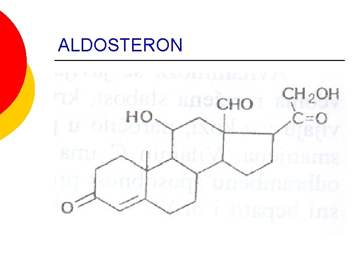 ALDOSTERON ALDOSTERON