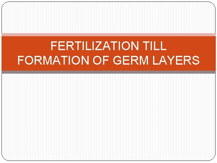 FERTILIZATION TILL FORMATION OF GERM LAYERS FERTILIZATION TILL FORMATION OF GERM LAYERS