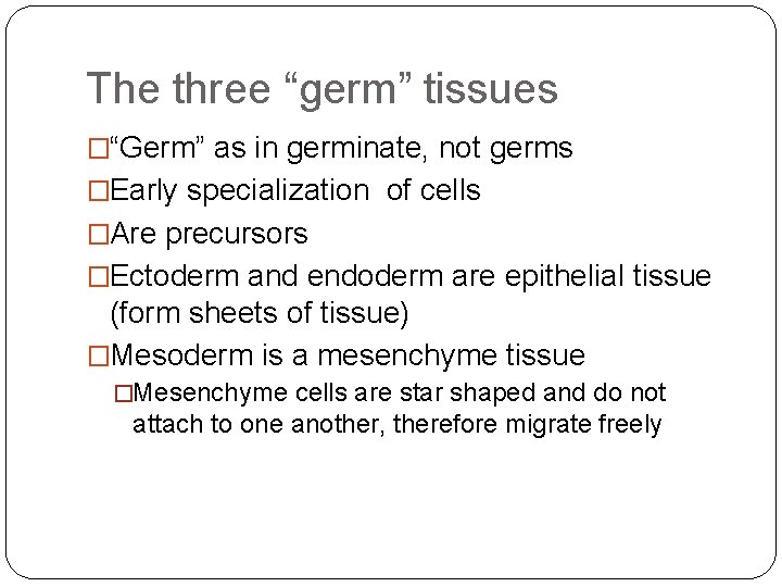 The three “germ” tissues �“Germ” as in germinate, not germs �Early specialization of cells The three “germ” tissues �“Germ” as in germinate, not germs �Early specialization of cells