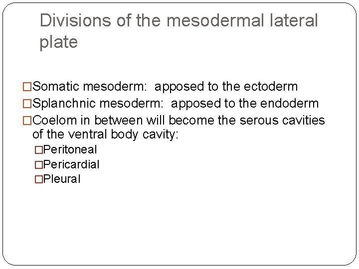 Divisions of the mesodermal lateral plate �Somatic mesoderm: apposed to the ectoderm �Splanchnic mesoderm: Divisions of the mesodermal lateral plate �Somatic mesoderm: apposed to the ectoderm �Splanchnic mesoderm:
