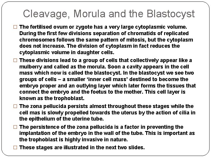Cleavage, Morula and the Blastocyst � The fertilised ovum or zygote has a very Cleavage, Morula and the Blastocyst � The fertilised ovum or zygote has a very