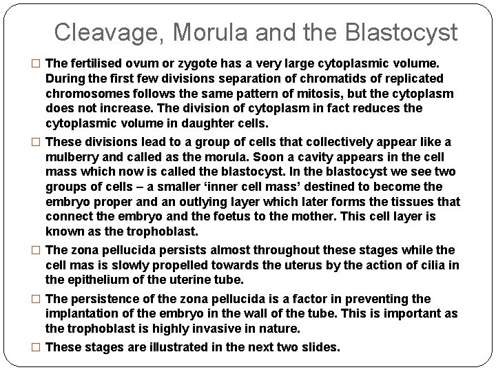 Cleavage, Morula and the Blastocyst � The fertilised ovum or zygote has a very