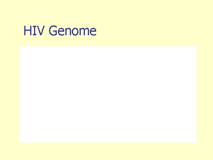 HIV Genome 