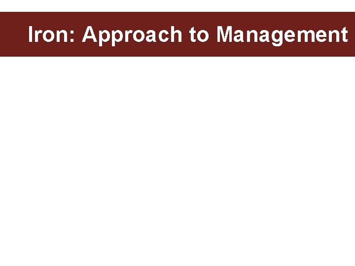 Iron: Approach to Management 