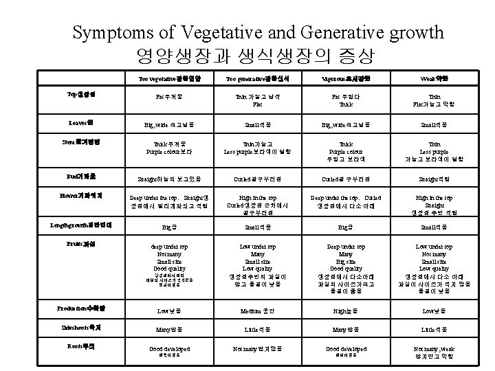 Symptoms of Vegetative and Generative growth 영양생장과 생식생장의 증상 Too vegetative강한영양 Too generative강한생식 Vigorous초세강함