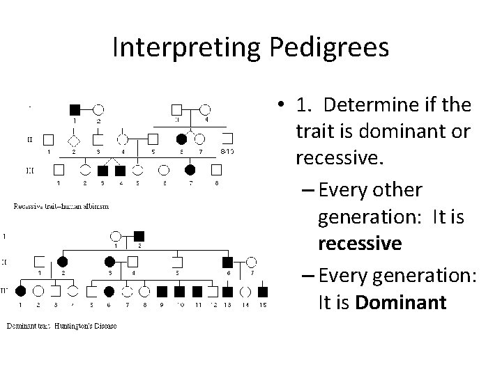 Interpreting Pedigrees • 1. Determine if the trait is dominant or recessive. – Every
