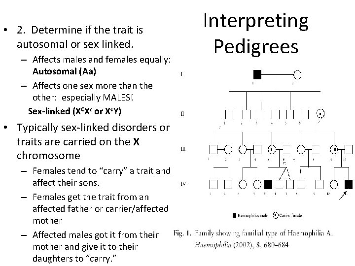  • 2. Determine if the trait is autosomal or sex linked. – Affects