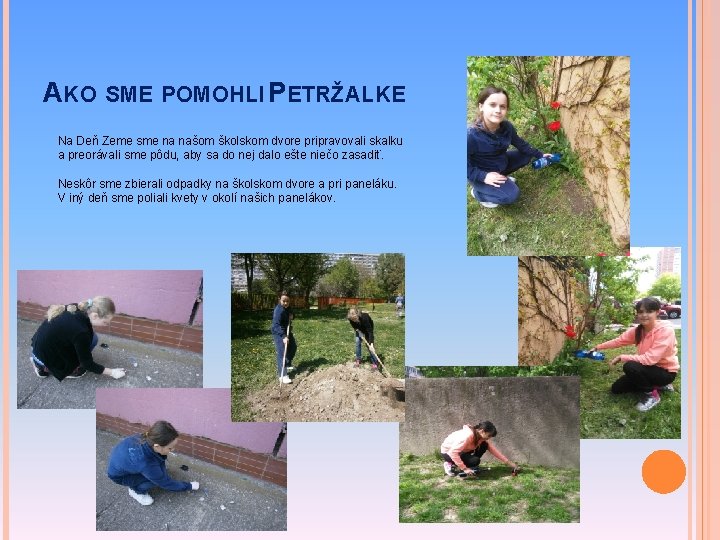 AKO SME POMOHLI PETRŽALKE Na Deň Zeme sme na našom školskom dvore pripravovali skalku