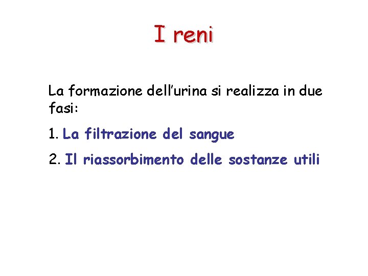 I reni La formazione dell’urina si realizza in due fasi: 1. La filtrazione del