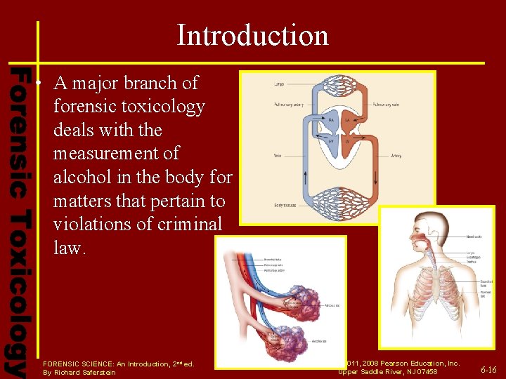 Introduction • A major branch of forensic toxicology deals with the measurement of alcohol