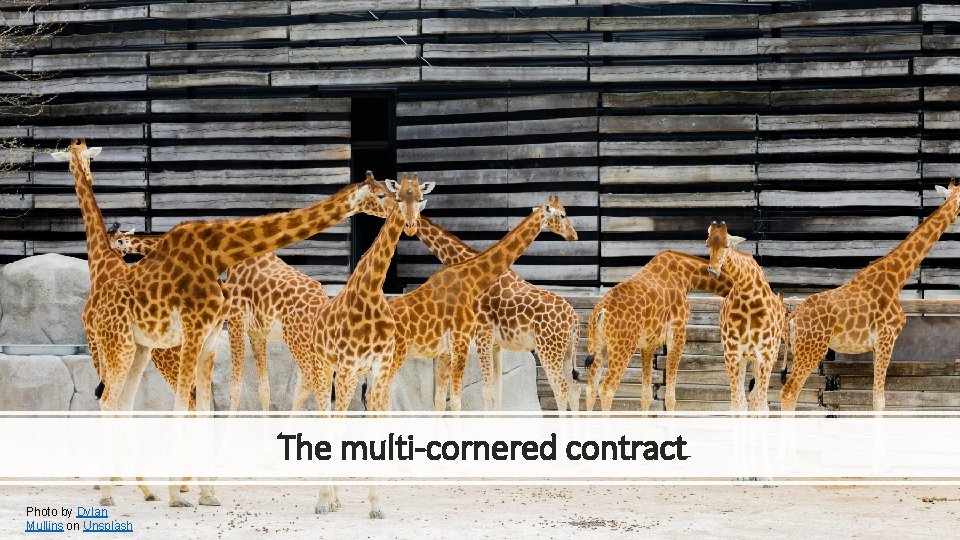 The multi-cornered contract Photo by Dylan Mullins on Unsplash 