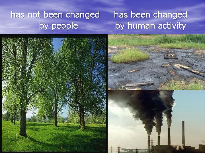 has not been changed by people has been changed by human activity 