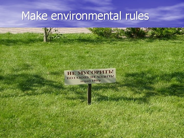 Make environmental rules 