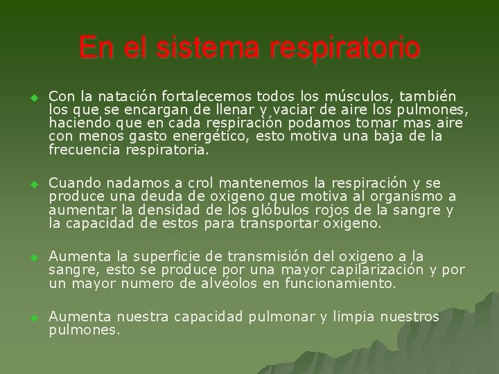 En el sistema respiratorio u Con la natación fortalecemos todos los músculos, también los