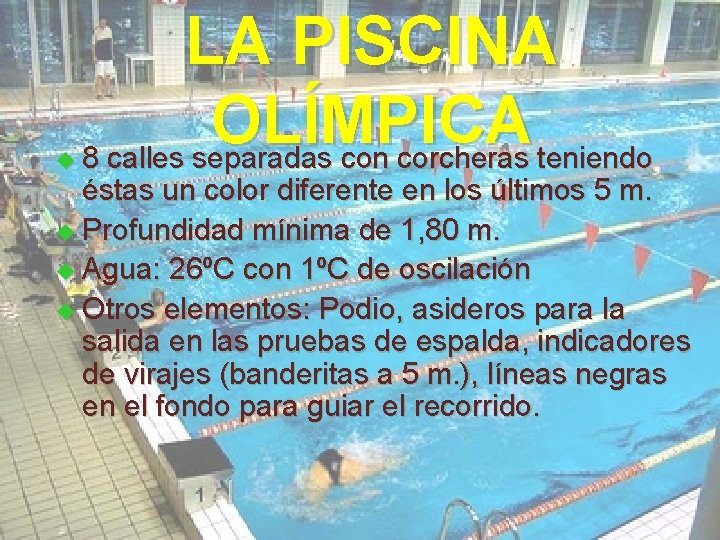 u LA PISCINA OLÍMPICA 8 calles separadas con corcheras teniendo éstas un color diferente