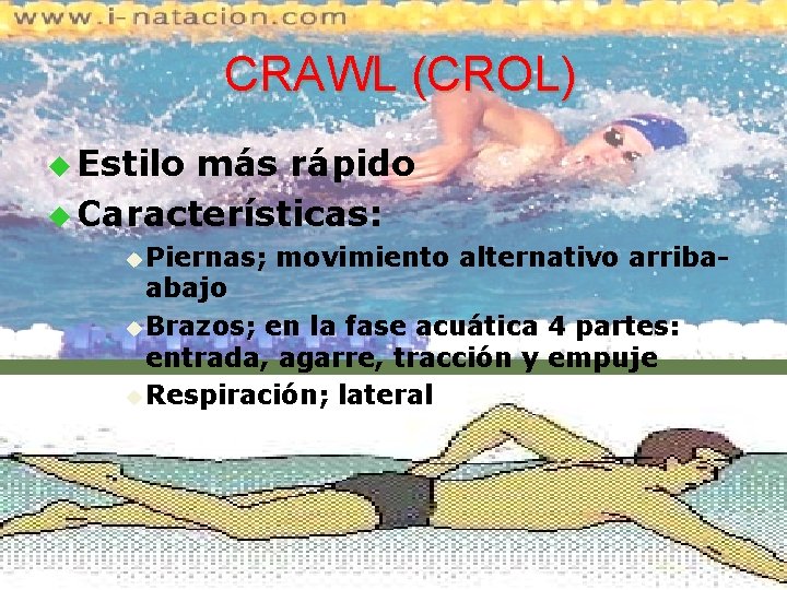 CRAWL (CROL) u Estilo más rápido u Características: u Piernas; movimiento alternativo arriba- abajo