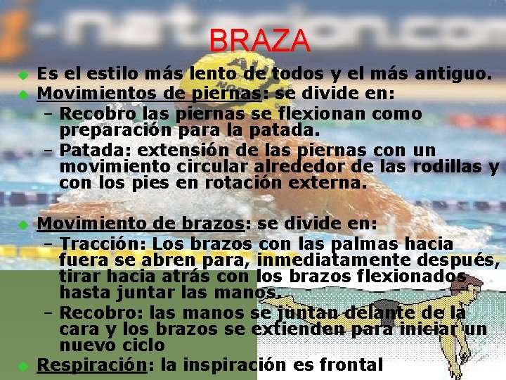 BRAZA u u Es el estilo más lento de todos y el más antiguo.