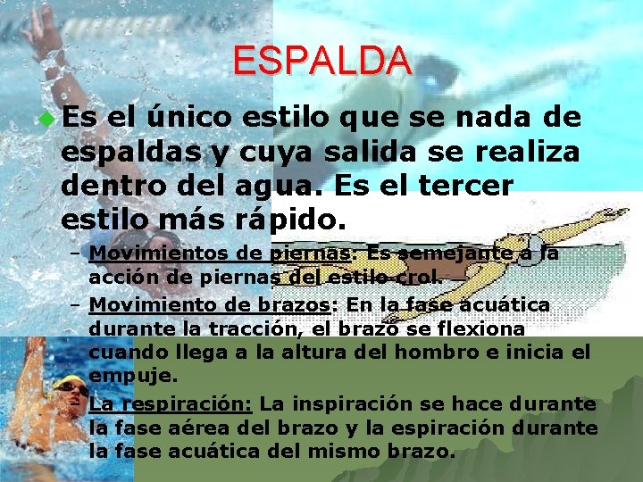ESPALDA u Es el único estilo que se nada de espaldas y cuya salida