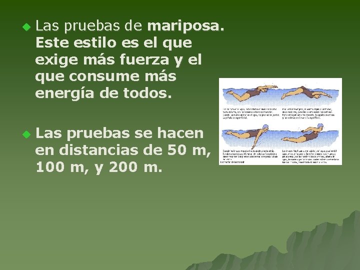 u u Las pruebas de mariposa. Este estilo es el que exige más fuerza