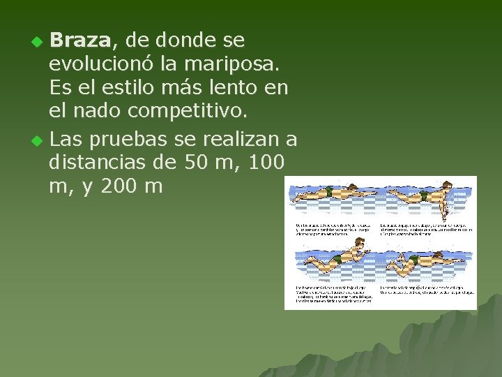 Braza, de donde se evolucionó la mariposa. Es el estilo más lento en el