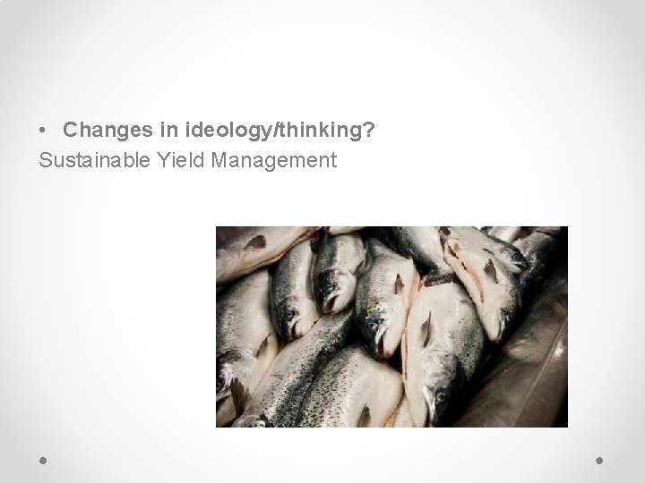  • Changes in ideology/thinking? Sustainable Yield Management 