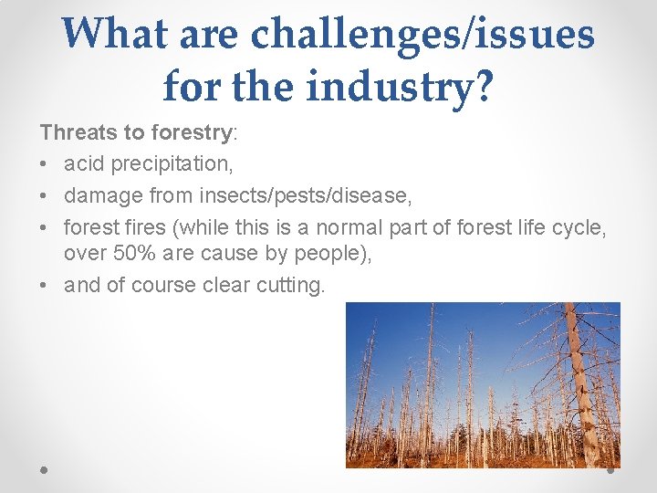 What are challenges/issues for the industry? Threats to forestry: • acid precipitation, • damage