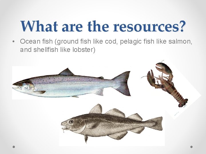 What are the resources? • Ocean fish (ground fish like cod, pelagic fish like