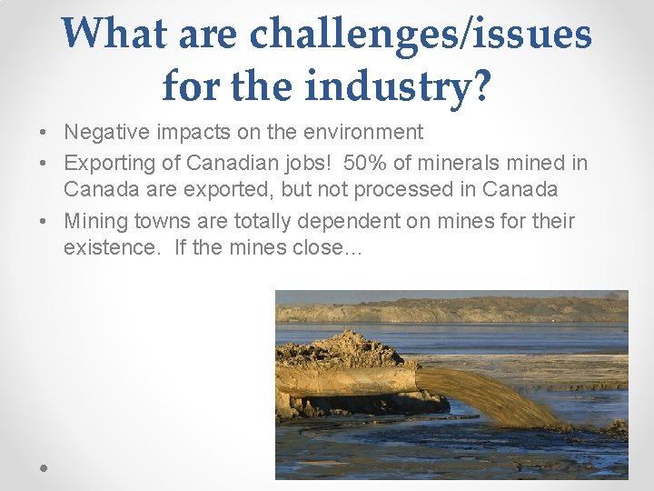 What are challenges/issues for the industry? • Negative impacts on the environment • Exporting