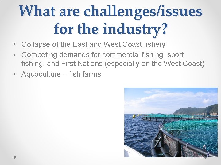 What are challenges/issues for the industry? • Collapse of the East and West Coast