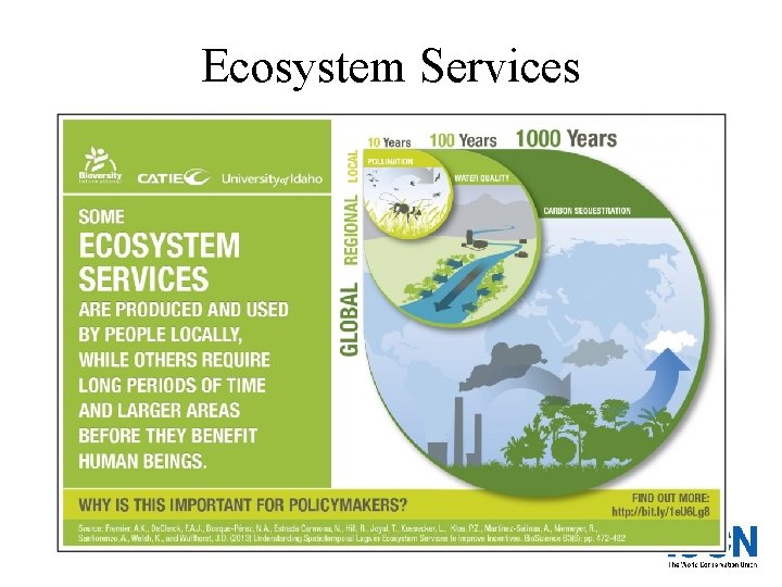 Ecosystem Services 