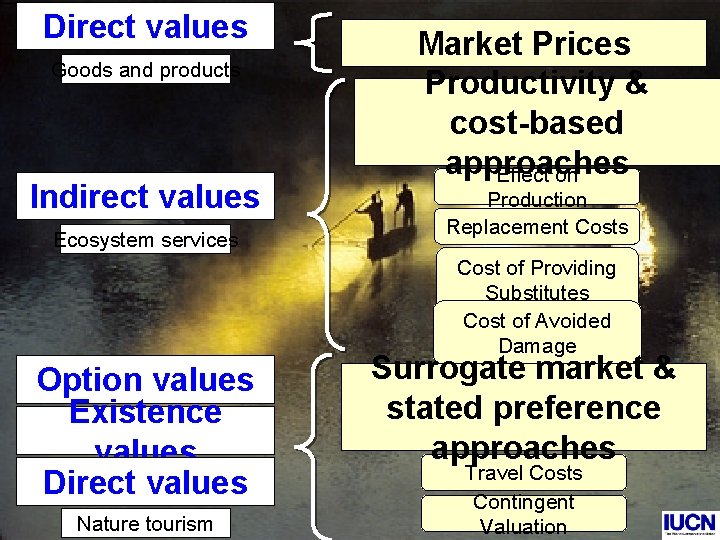 Direct values Goods and products Indirect values Ecosystem services Market Prices Productivity & cost-based