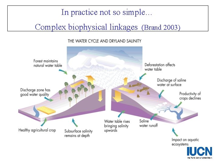 In practice not so simple… Complex biophysical linkages (Brand 2003) 