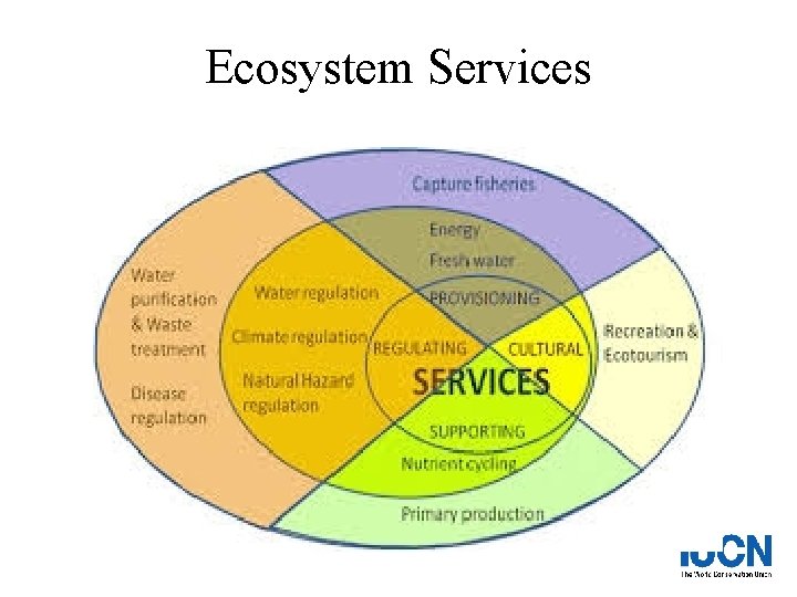 Ecosystem Services 